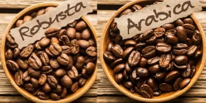معرفی انواع قهوه