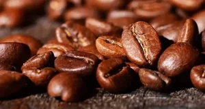 قهوه عربیکا چیست